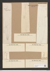 Pleurostauron acutum (W.Sm.) (de-Toni-Nr.: Genus 7, Species 968) Zeichnungen Sammlung Grunow Nr. 1837 (NHMW-BOT-W0368767)